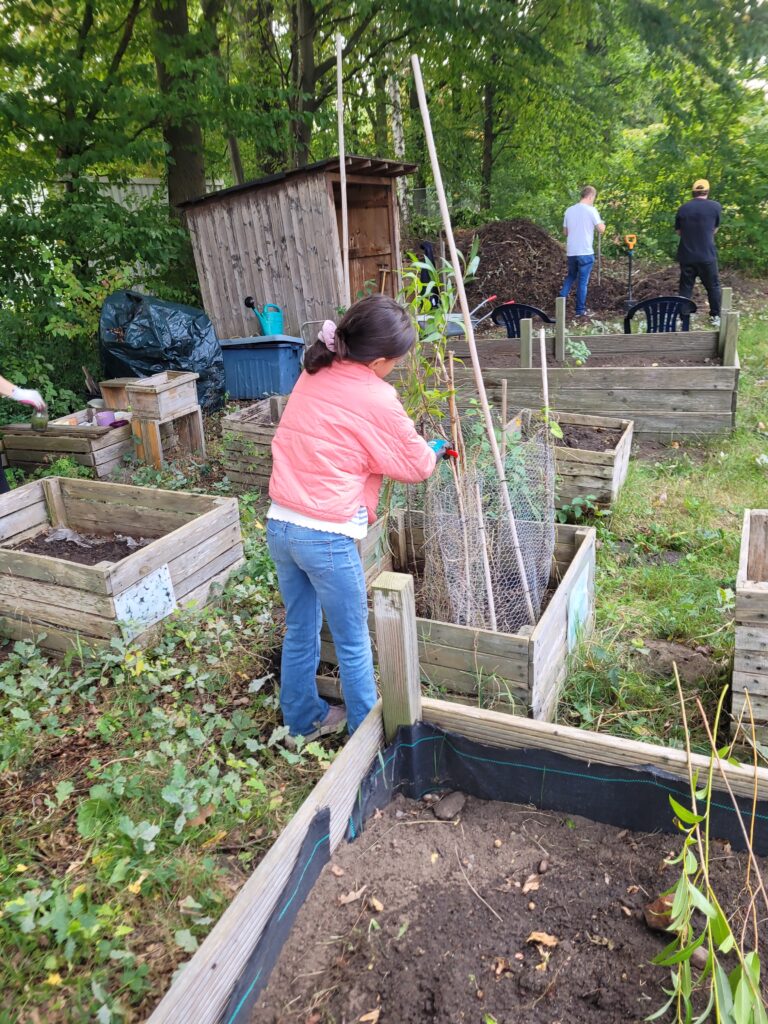 Viele fleißige Helfer machten unseren Garten winterfest.
